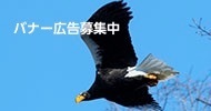 バナー広告募集中